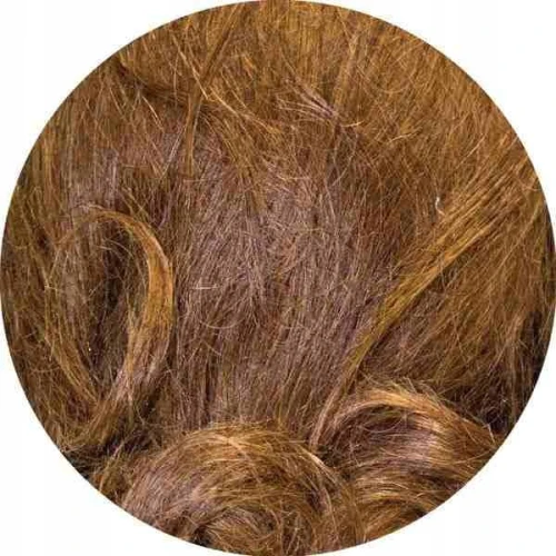 Siatki na włosy 3 sztuki/op czarne