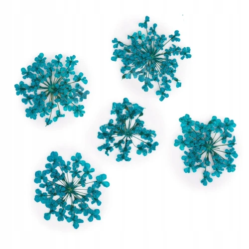 Suszone kwiatki do paznokci Turquise Turkusowe kwiaty do zdobień MollyLac