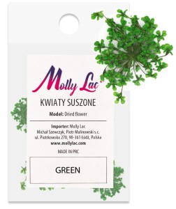 SUSZONE KWIATY DO PAZNOKCI KWIATKI OZDOBA ZIELONE