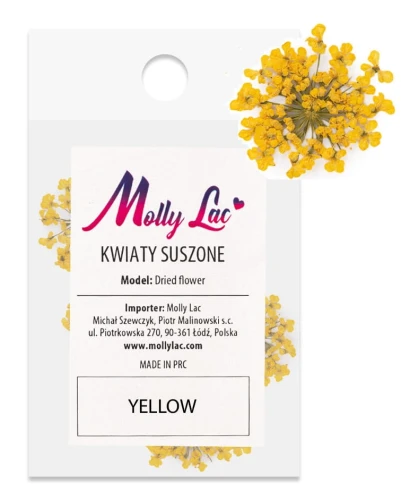 SUSZONE KWIATY DO PAZNOKCI KWIATKI OZDOBA ŻÓŁTE