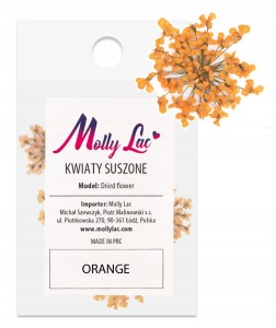 SUSZONE KWIATY DO PAZNOKCI KWIATKI OZDOBA ORANGE