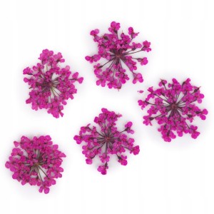 Suszone kwiatki do paznokci Pink różowe kwiaty do zdobień MollyLac