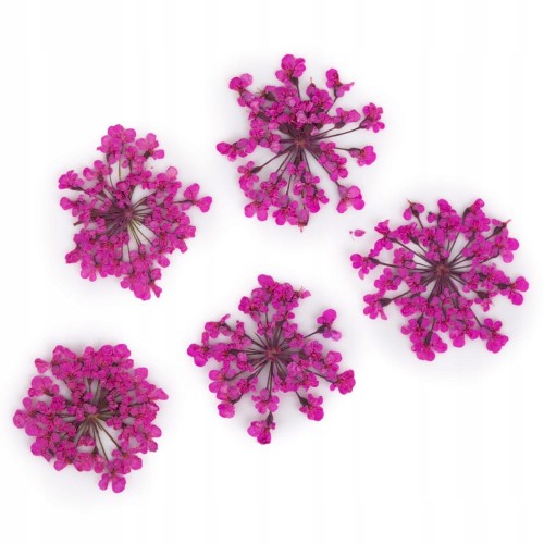 Suszone kwiatki do paznokci Pink różowe kwiaty do zdobień MollyLac