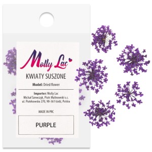 Suszone kwiatki do paznokci Purple fioletowe kwiaty do zdobień MollyLac