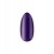 Boska Nails Divine purple plum 304 6 ml lakier hybrydowy