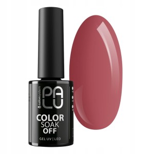 PALU Lakier hybrydowy Prague PR8 - 11g