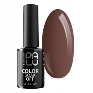 PALU Lakier hybrydowy Prague PR6 - 11g